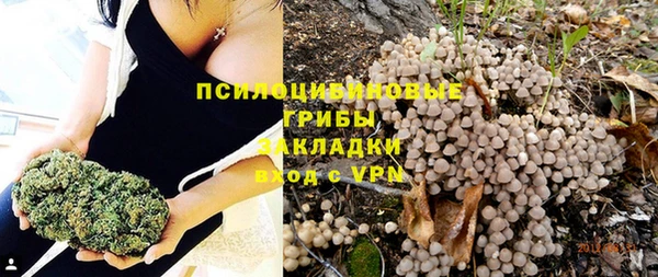 мескалин Заводоуковск