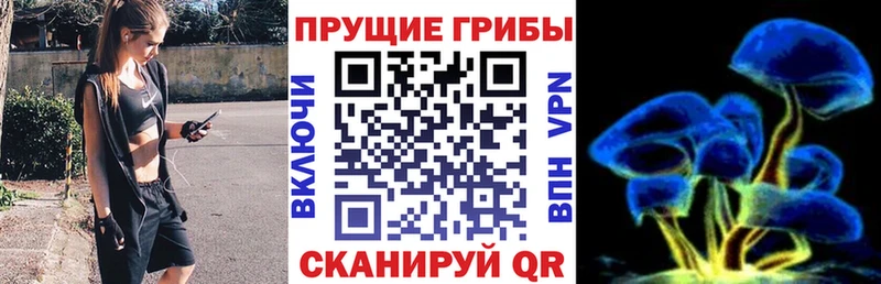 Галлюциногенные грибы мухоморы  Купить где  Сафоново 